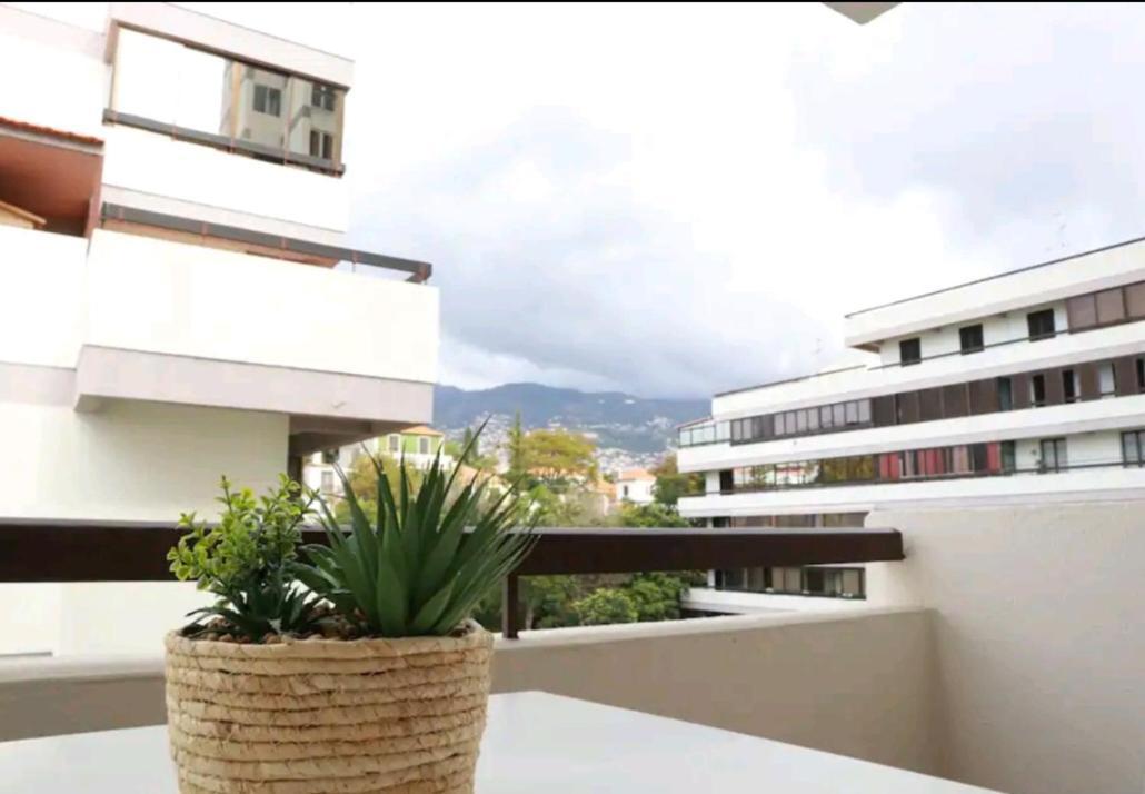 Vista Infante Apartments Funchal  Eksteriør bilde